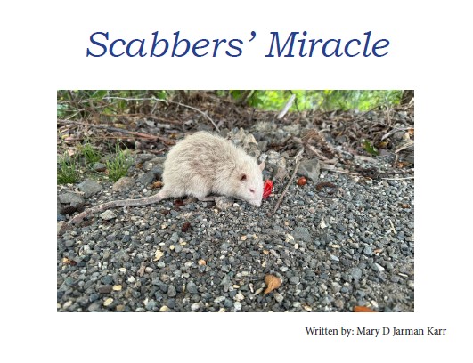 Scabber's Miracle